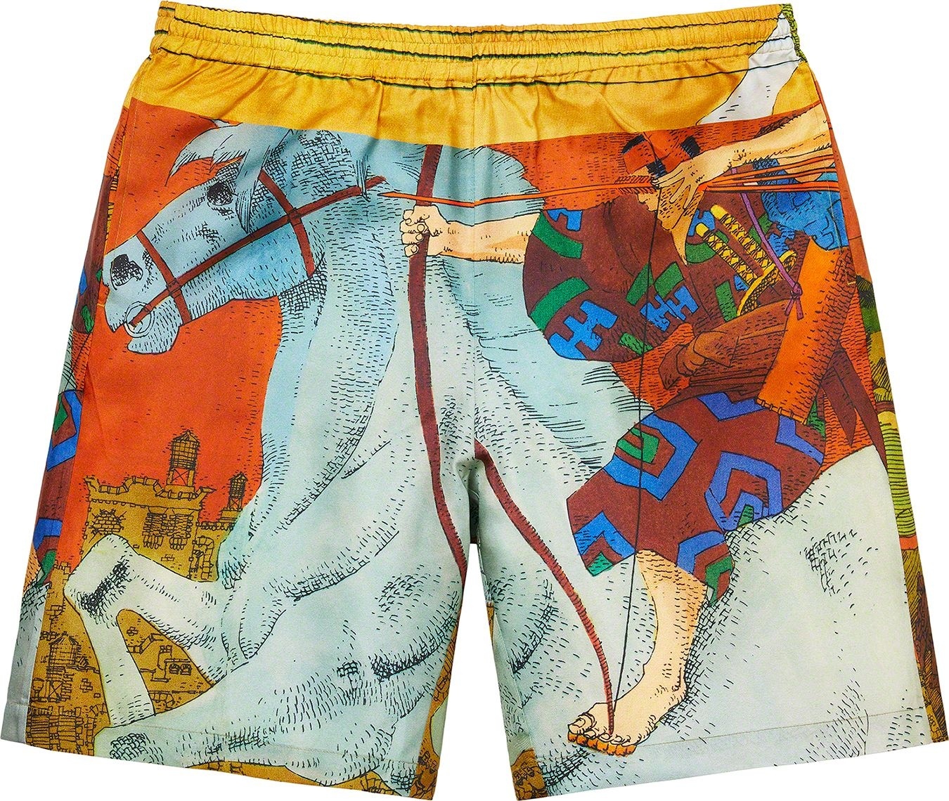 Ronin Silk Short view 11
